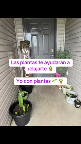 señora de las plantas 🤣 #paratupagina #parati #senoralife #senoradelasplantas 