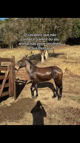 #explorar 