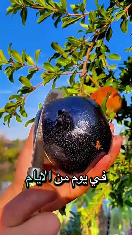 قصة سيدنا موسى عليه السلام @story  @calmgamear  @calmgamear #قصص_من_القران_الكريم #قصة_من_القرآن #سيدنا_موسى_عليه_السلام #موسى_عليه_السلام #قصص 