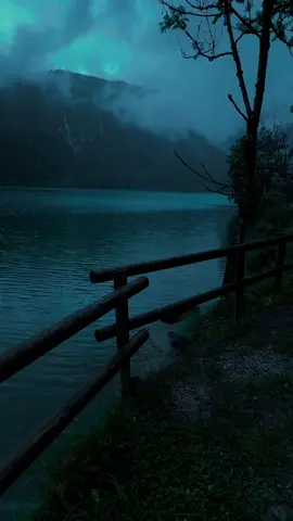 🖤#nature #calm #darkaesthetic #naturephotography #foryоu 