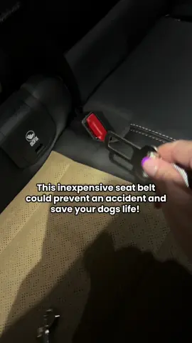 #dogseatbelt #dog #seatbelt #safetyfirst #tiktokshopcreatorpicks 