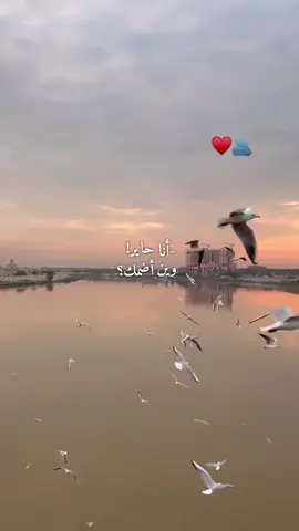عـيني انتَ و رُوحِـي انتَ ♥️🫂 #za1125 #حب #حبيبي 