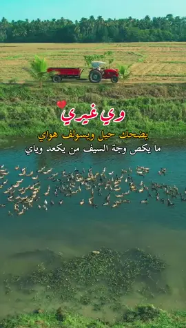 وي غيري .. #شعراء_وذواقين_الشعر_الشعبي 