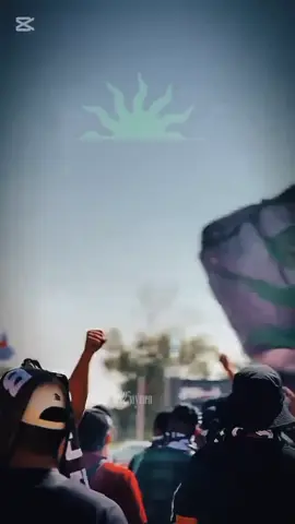 #شباب_قسنطينة_عميد_الأندية_الإفريقية #ultraslocaragazzi #ultrasgrinarmey #النادي_الرياضي_القسنطيني #شباب_قسنطينة💚🖤 #cscconstantine1898 #costontine25