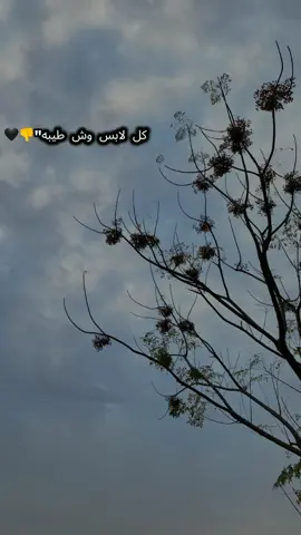 كل لابس وش طيبه 