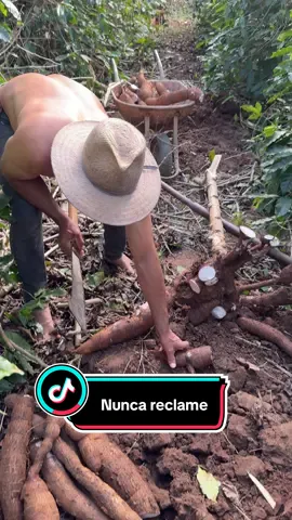Nunca reclame do seu trabalho por mais difícil que seja#agricultura #roça #trabalhomanual 