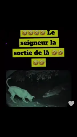 #visibilite #burkinatiktok🇧🇫🇧🇫🇧🇫❤️ #viral #viraltiktok #video 