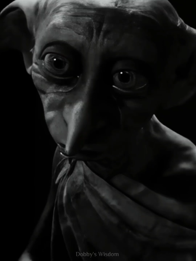 Loyalty 💯 #Dobby #harrypoter #emotional 