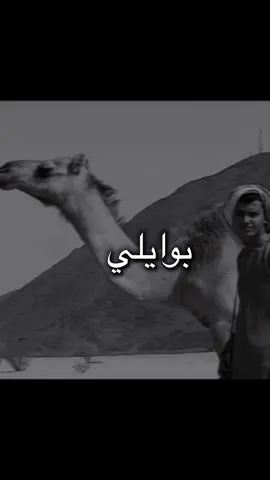 اسمي يجمل كل منهو شايله 🫡👋🏻#917💐✨️ #اكسبلورر #العوالق_عزوتي #شبوه_ديرتي_مسقط_الراس  #صٰ|917