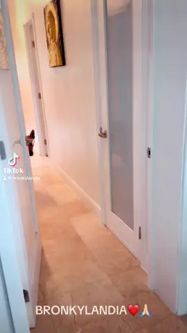 #dogsoftiktokviral🐶🦮 #DogsOfTikTok #bronkilandia #doghappy #doglover #bronkylandia #tiktokscenestealercontest #viralvideo 