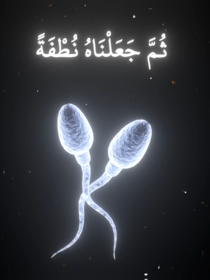 سورة المؤمنون  : وَلَقَدْ خَلَقْنَا الْإِنسَانَ مِن سُلَالَةٍ مِّن طِينٍ (12) ثُمَّ جَعَلْنَاهُ نُطْفَةً فِي قَرَارٍ مَّكِينٍ (13) ثُمَّ خَلَقْنَا النُّطْفَةَ عَلَقَةً فَخَلَقْنَا الْعَلَقَةَ مُضْغَةً فَخَلَقْنَا الْمُضْغَةَ عِظَامًا فَكَسَوْنَا الْعِظَامَ لَحْمًا ثُمَّ أَنشَأْنَاهُ خَلْقًا آخَرَ ۚ فَتَبَارَكَ اللَّهُ أَحْسَنُ الْخَالِقِينَ (14) . #ياسر_الدوسري  #سورة_المؤمنون  #القرآن_الكريم  #آيات_قرآنية 