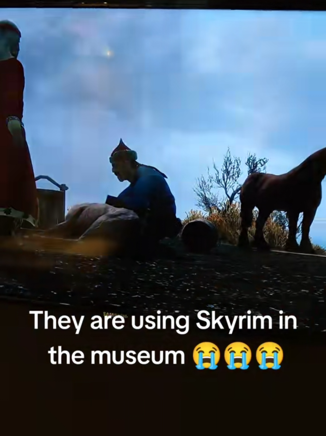 Throwback when i went to the Hungarian national museum and the historical reenacment was made with Skyrim. (Also  before this the moded guy killed a deer and it had kill cam) (The women talking to me is my mom thinking we are gonna get kicked out) #hungary #neked #skyrim #fyp #ayearago 