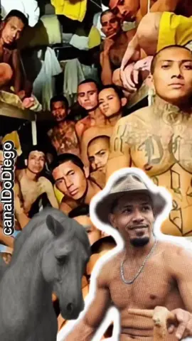 Homem tirou as Patas do Cavalo em Bananal SP | video completo cavalo bananal | video do cavalo sem as patas bananal  #cavalo #bananal #andreyguilherme #canaldodiego 