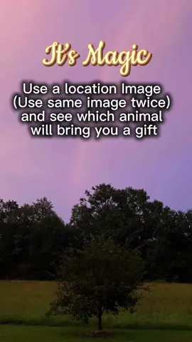 #CapCut This is an apple tree in my backyard with a rainbow in the background. 🌈🌳 Thank you BFF for this outstanding CapCut Template ❤️❤️❤️😍🌺🌷