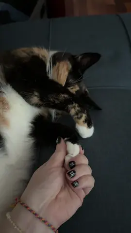 🥺 the cutest bug ever and the sweetest bff i could ever dream of  #cuddle #toebeans #socks #calico #girlies 