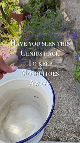 Keep all the mosquitoes away! My pest control told me this hack they charge hundreds for