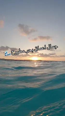 اعماق بحر مطروح والرمله التحفه 📌🌊مالديف عجيبه ❤️#اكسبلور #الشعب_الصيني_ماله_حل😂😂 #تصميم_فيديوهات🎶🎤🎬 #تصويري_احترافي_الاجواء👌🏻🕊😴 #support 