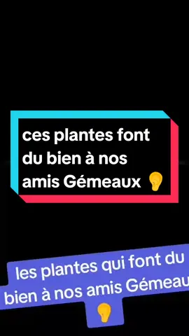 #astrology #horoscope #gemeaux #pourtoii 