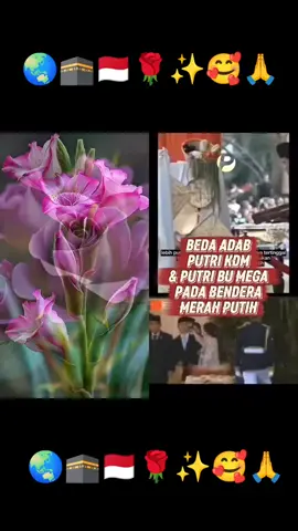 #duet dengan @Perdana Politik #puanmaharani 