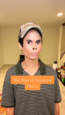 The Best of Seymour (Part 2) #itguy #seymour #burntoutteachers #laurenlowder