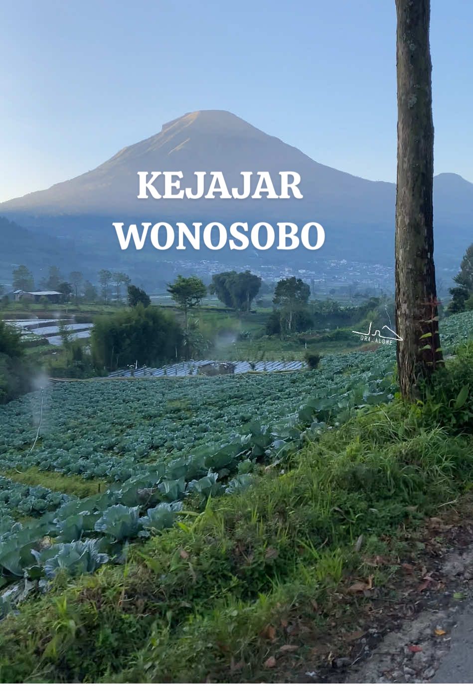 Jalan pintas #dieng_wonosobo #dieng #diengplateau #negeridiatasawan #wonosobo #wisatawonosobo #sunrise #pendakiindonesia #diengwonosobo 