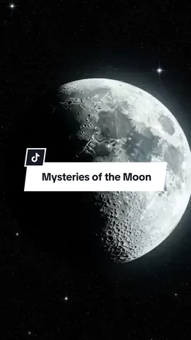 Why haven’t we been back to the Moon since 1972? 🌑 Conspiracy theories suggest it’s because the Moon isn’t empty at all… Some claim it’s already occupied — strange structures, alien bases, and sightings kept from the public. Could this be the real reason NASA stopped sending astronauts? Or is the truth far more mysterious than we can imagine? 👽✨ #MoonConspiracy #AliensOnTheMoon #UFOs #NASASecrets #Disclosure   