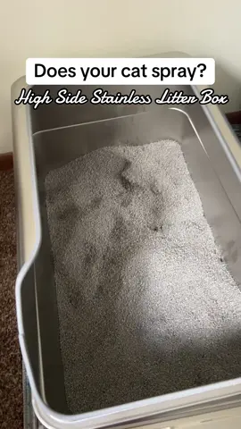 This high side stainless steel litter box is all you need for a cat that tends to make a mess.. this stainless steel litter box has saved us so many accidents 😼 #catsoftiktok #litterbox #stainlesssteellitterbox #litterboxhack #tiktokshopcreatorpicks 