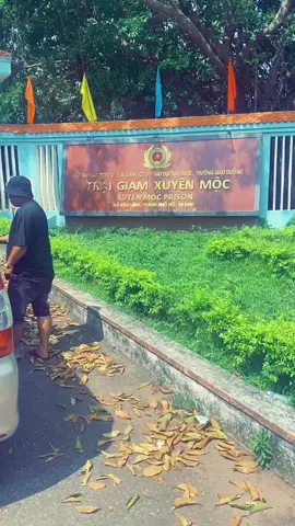 #xuhuongtiktok(k1) #traigiamxuyenmoc 🫵