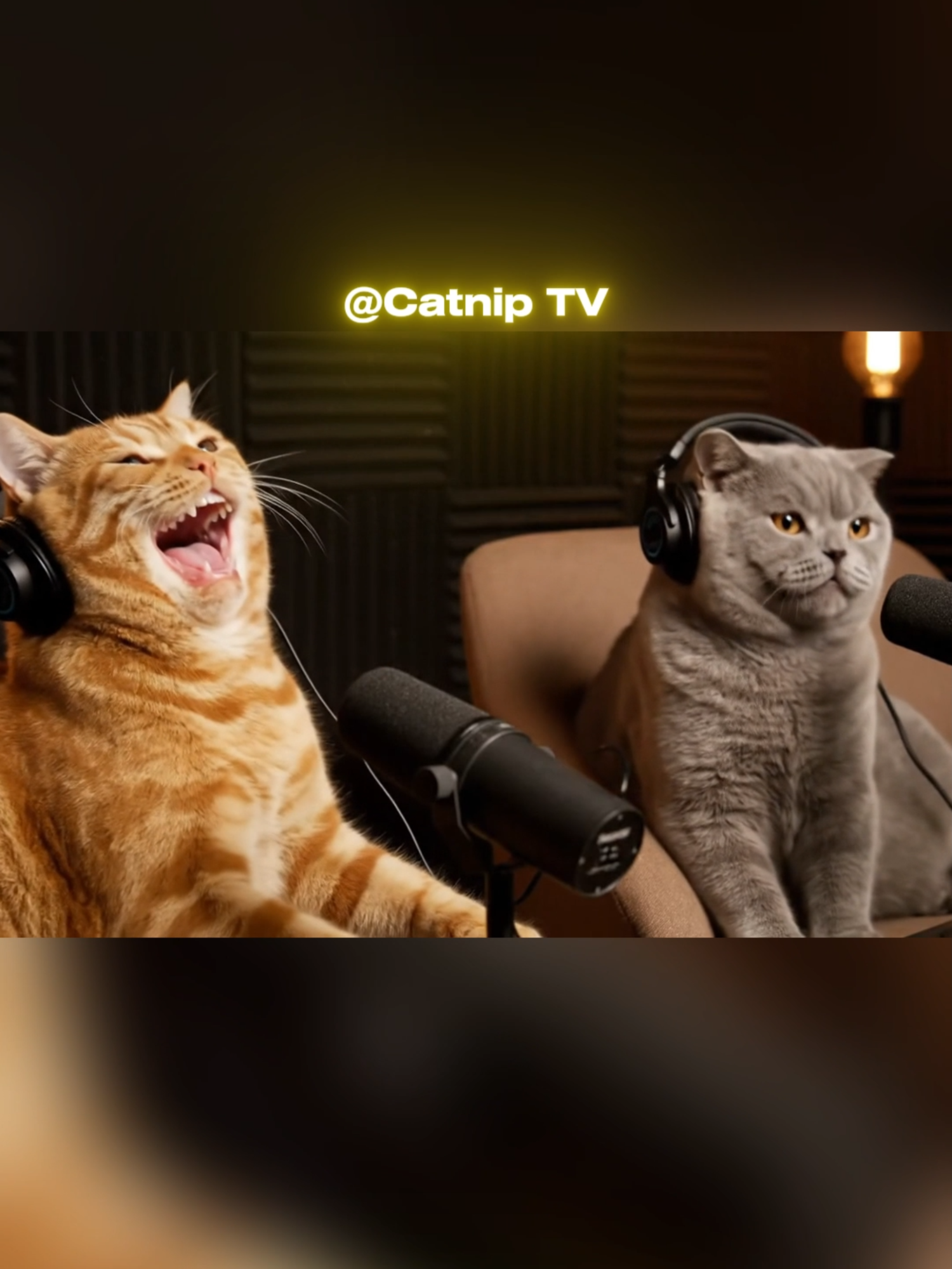 F the dog bro 🐶❌(Check link in bio for a 100$ PetSmart giftcard)#cat #fyp #catpodcast #cattok #catlover #catlovers #catmeme #catmemes #catai