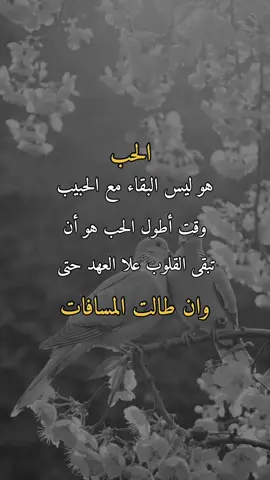 الحب#همس_الوفــَّــــآء #اكسبلورexplore #اعادة_النشر🔃 