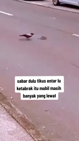 #padahariini 