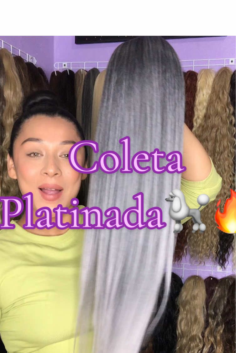 Siéntese elegante con nuestras coletas 🐩💋🌹