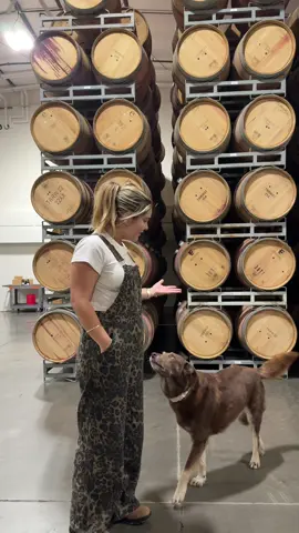 I wasn’t giving her enough attention when doing this ootd at work #overalls #wine #cider