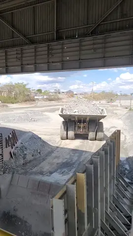 #mineração 