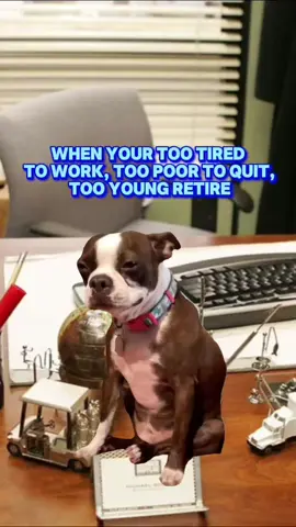 Story of my #life  #MemeCut #CapCut #fyp #funny 