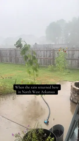 Just a little late summer shower ✨✨#northwestarkansas #arkansas #summershower