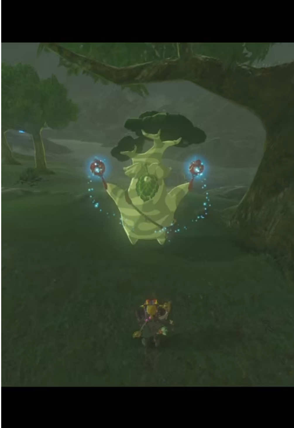 Conga Time! #botw #botwlink #zeldabotw #zelda #breathofthewild credit to: @holythighble650_gameroom for the idea