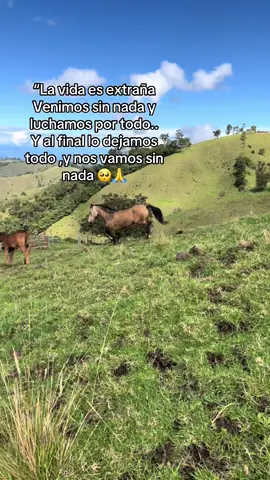 #dariogomez #caballos 