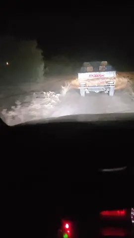 #كناترية_الجنوب 