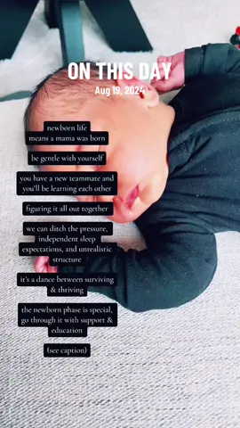 The 4th trimester is not a time where we should be worrying about creating “bad habits” or getting newborns on structure and scheduling.  It’s a time for healing, bonding, and navigating your re-birth as a Mom✨ Having newborn education, sleep information, and understanding what your baby is experiencing can help you make decisions to move through this season with more ease and less frustration. This is why I created the Empowered Newborn Sleep e-Guide💤 You can grab it in the Digital Shoppe, use code NBSLEEP50✨ #onthisday #newborn #newmom #newbornsleep #newbornsleeptips
