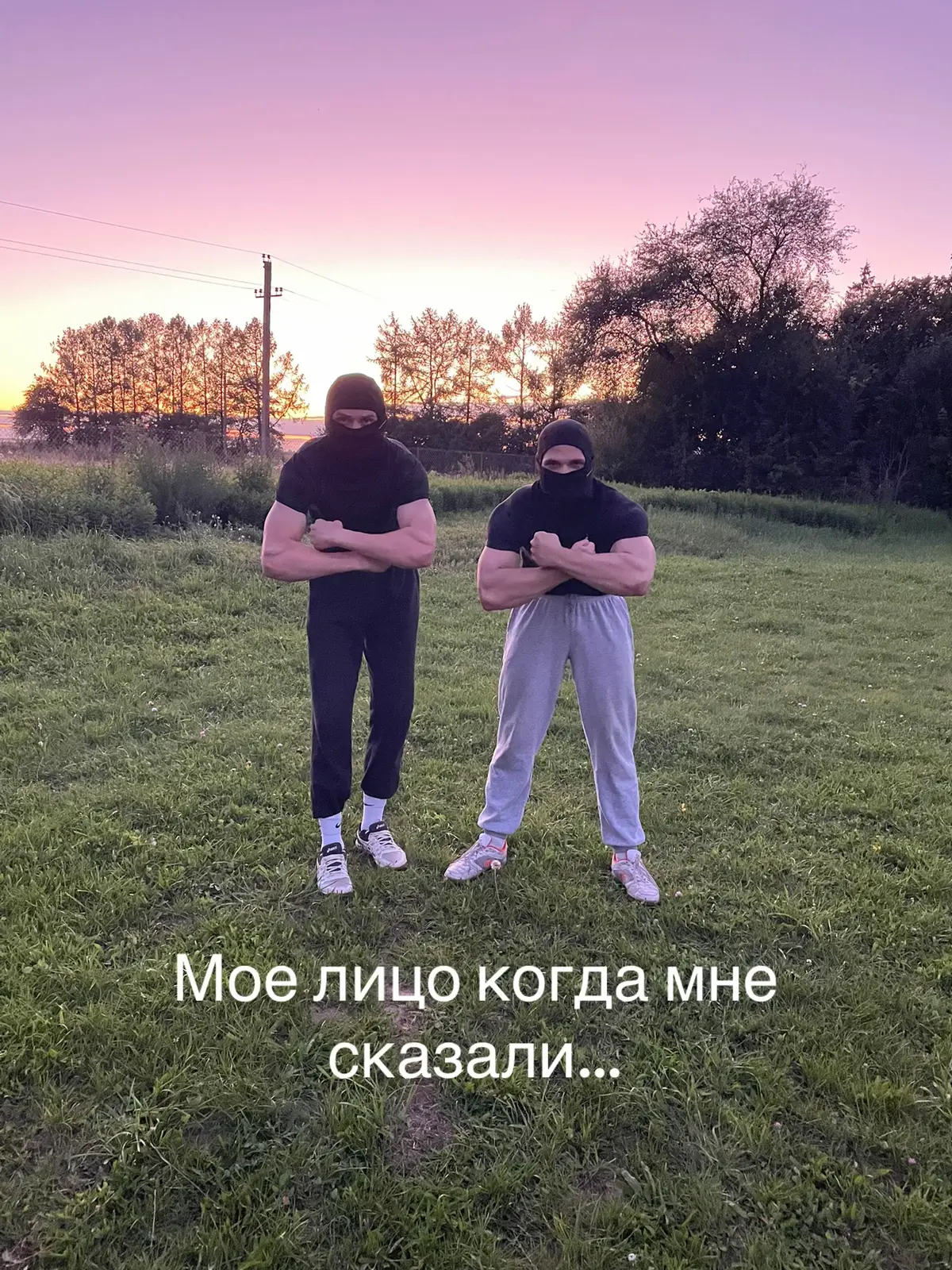 Анаболические стероиды являются лекарственными средствами, имитирующими деятельность тестостерона в организме. Влияние анаболических стероидов принято разделять на два вида: анаболическое влияние, помогающее увеличить мышечную массу, и андрогенное, развивающее и усиливающее мужские половые признаки.