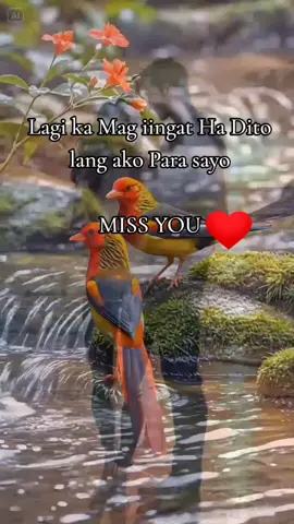 #ffyyyyyypppppppp💞💞💞