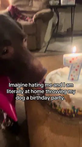 Imagine 💁🏻‍♀️ #fypシ #trending #dogsoftiktok 