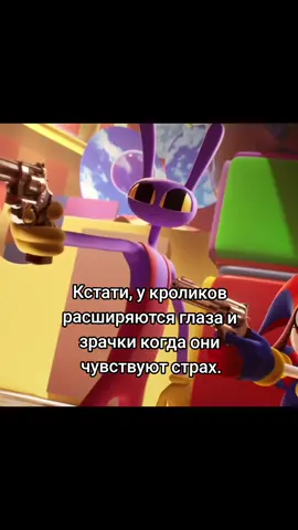 #джекс #уцц #цифровойцирк #world #рекомендации #fyp #рек #jax #digitalcircus 
