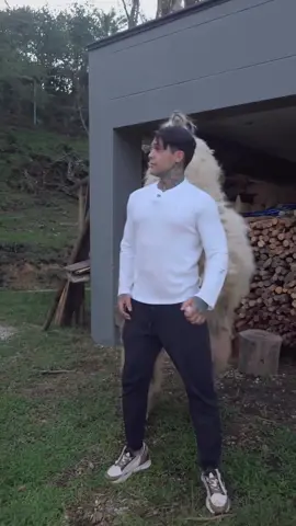 Yeferson Cossio con su Llama 🦙 #paratiiiiiiiiiiiiiiiiiiiiiiiiiiiiiii #yefersoncossio #familiacossio #viral 