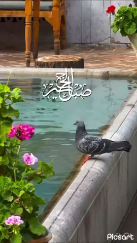 #صباح_الخير #اذكارالصباح #اكسبلوررر #