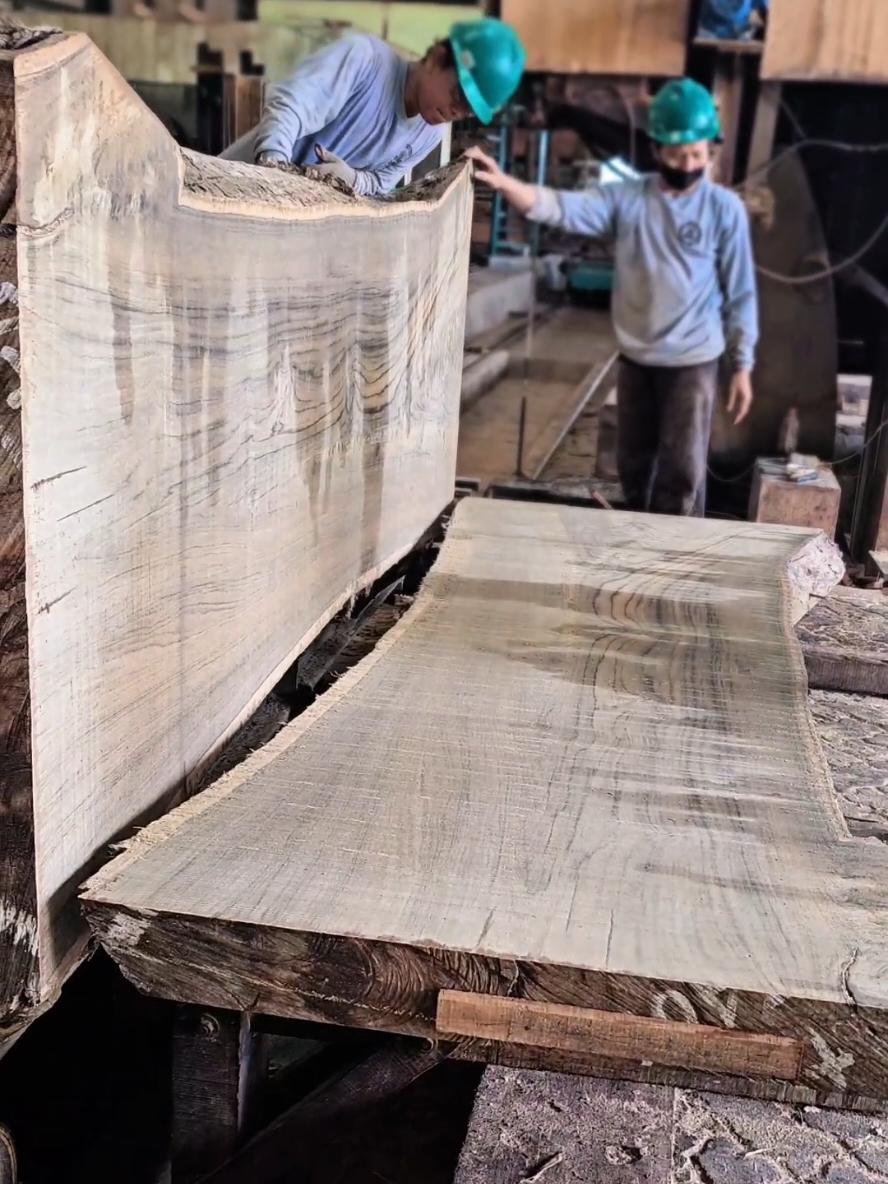 kayu Jati tetap istimewaa