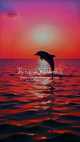 #سبحان_الله_الحمدلله_لااله_الا_الله #لا_اله_الا_الله_محمد_رسول_الله_❤️ #قرآن_كريم_راحة_نفسية #quran_alkarim❤️🕊️ #استغفرالله_العظيم_واتوب_اليه 