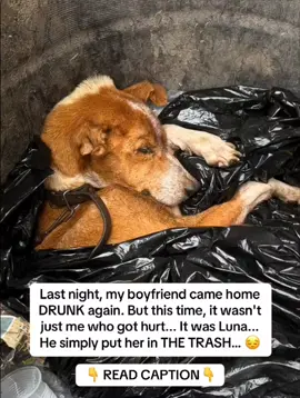 Last week I left Luna with my boyfriend… and THIS is what I came back to. He said he was “teaching her a lesson.” But the second I found her… my heart shattered. He had thrown her in the trash. Like she was nothing. 💔🥺 When I pulled her out, she wouldn’t even look at me. She just stared straight ahead, frozen. No tail wags. No barks. No greeting at the door when I picked up the leash. The vet didn’t mince words: “She’s showing signs of trauma—inside and out. Her skin, her coat, even her spirit… everything is under stress.” I felt sick. That’s when she handed me a small bottle of Taily Collagen. A daily liquid packed with grass-fed collagen, biotin, vitamin C, and hyaluronic acid—designed to restore skin, coat, and wellness from the inside out. “You just add a few drops to her food,” she said. “It helps dogs bounce back—physically and emotionally.” I was skeptical. But desperate. 🌿 Day 2: she sniffed an old toy 🐾 Day 4: followed me from room to room again 💫 Week 1: her coat began to shine, itching faded 🏃‍♀️ Week 2: zoomies. Literal backyard zoomies. Now? She’s playful. Rested. Present. Like the lights are finally back on in her soul. Taily Collagen wasn’t just a supplement—it was the switch that turned my Luna back on. If your pup seems off, dull, or not themselves… please don’t ignore it. This little bottle changed everything for us. You can get it on Amazon (I put the link in my bio 💚) Comment LUNA and I’ll DM you her full routine & healing timeline ✨ And yes, I’ll post PART 2 soon. Love your dog loud—inside and out.