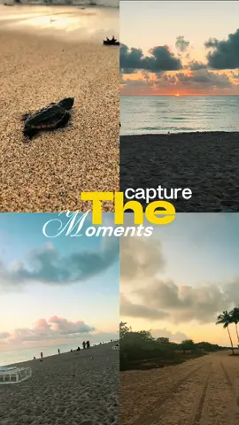 A quick little #Vlog showing how 3 days in #miami went ;) #travel #beach #florida  
